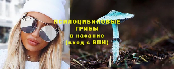 скорость Алзамай