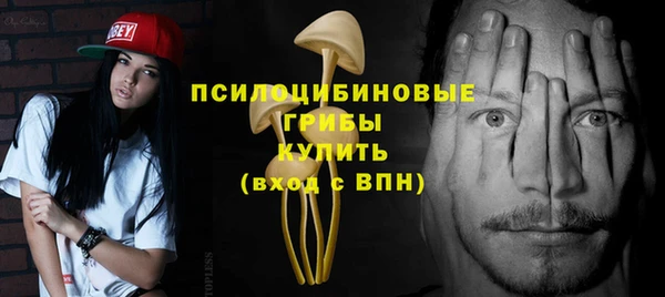 дживик Алексеевка