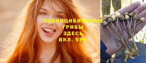 мет Алексин