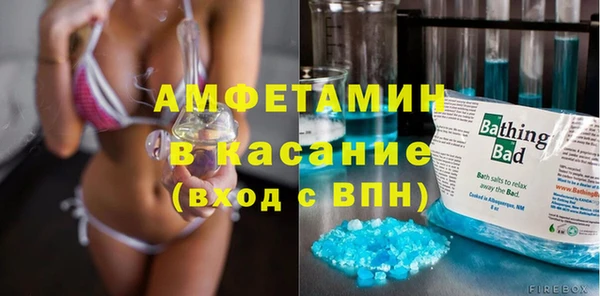 мет Алексин