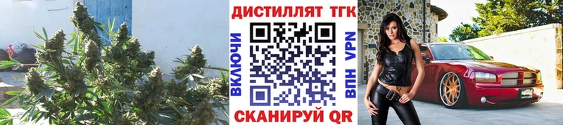 купить наркоту  Андреаполь  ТГК жижа 