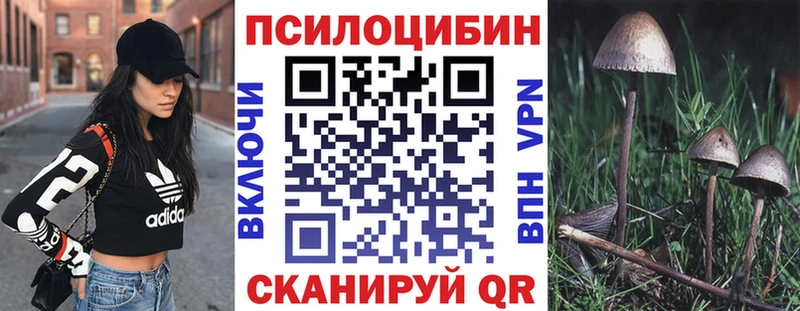 что такое наркотик  hydra сайт  Псилоцибиновые грибы MAGIC MUSHROOMS  Андреаполь 